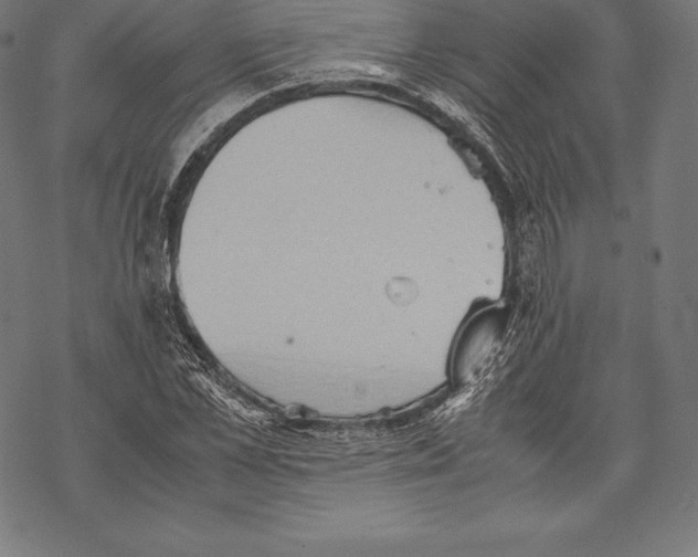 X0000067830973200605111613