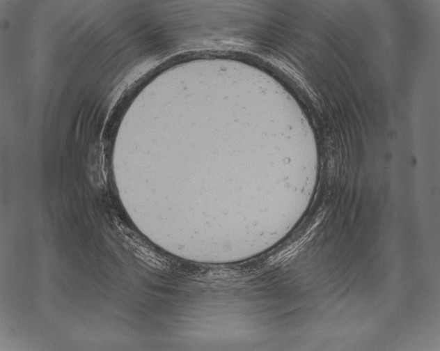 X0000067830974200605111613