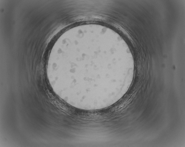 X0000067830975200605111613