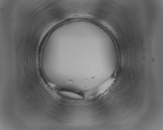 X0000067830976200605111613