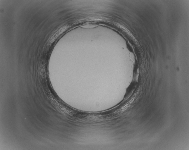 X0000067830977200605111613