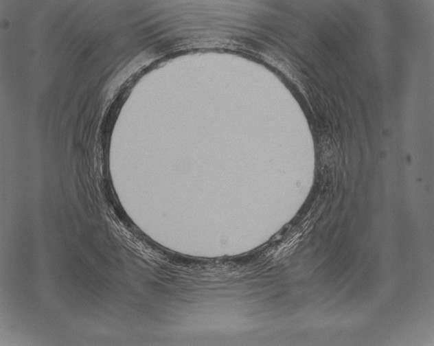 X0000067830979200605111613