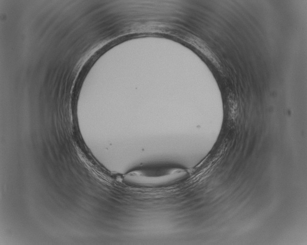 X0000067830980200605111612