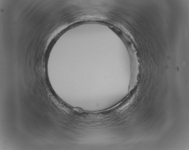 X0000067830981200605111612