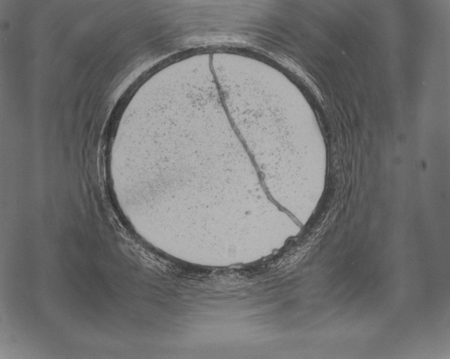 X0000067830983200605111612