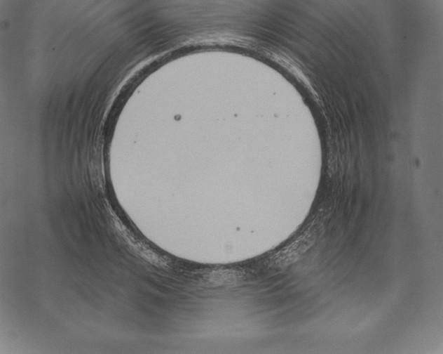 X0000067830984200605111612