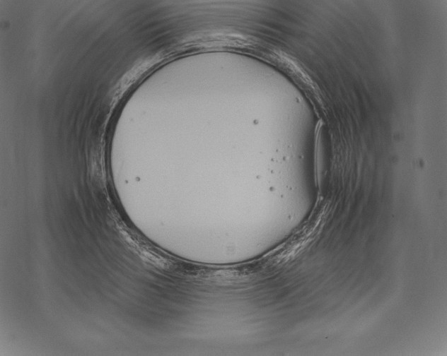 X0000067830986200605111612