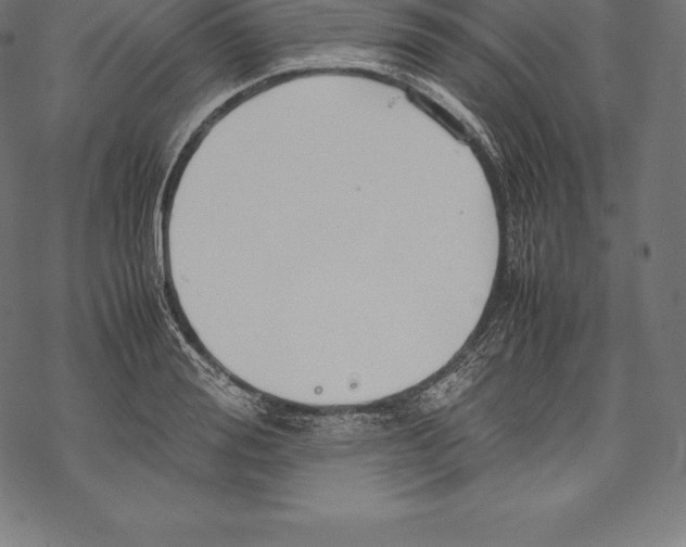 X0000067830988200605111612