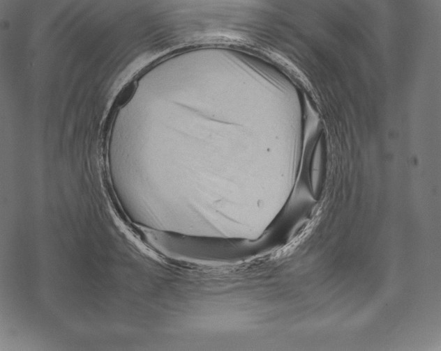 X0000067830989200605111612