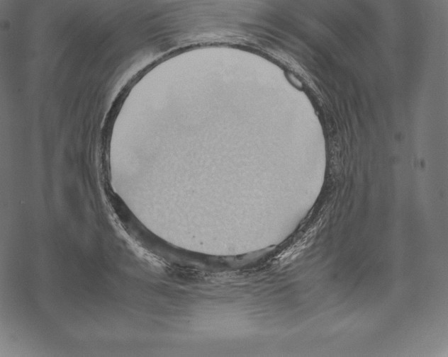 X0000067830991200605111612