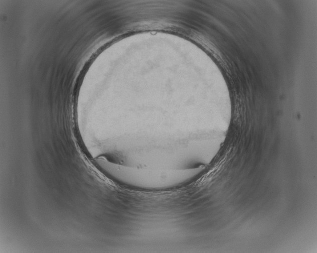 X0000067830992200605111612