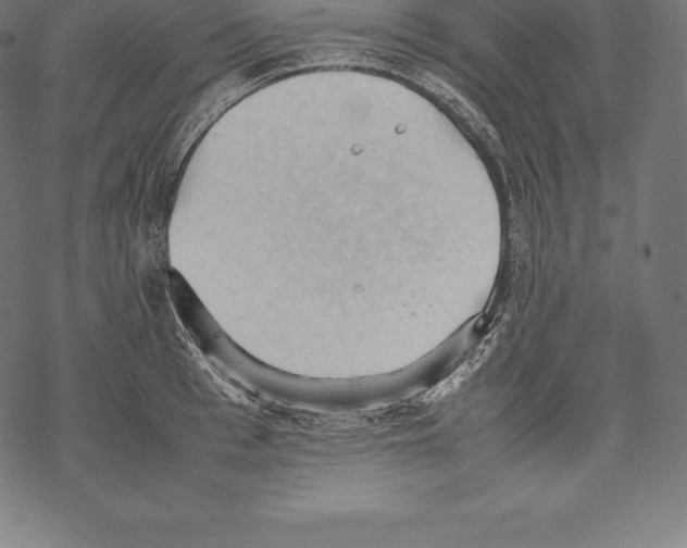 X0000067830993200605111612