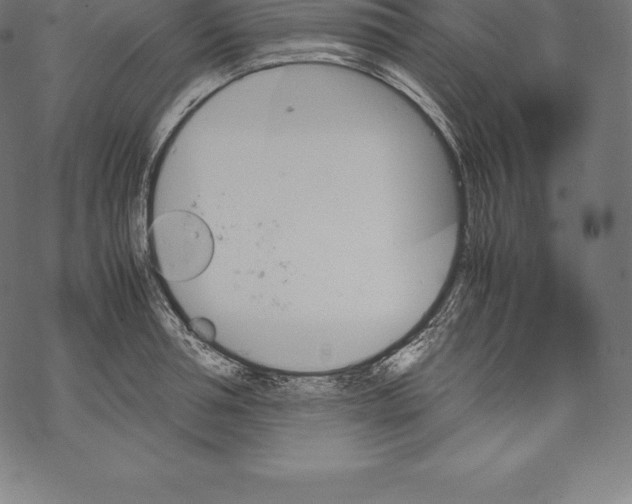 X0000067830994200605111612