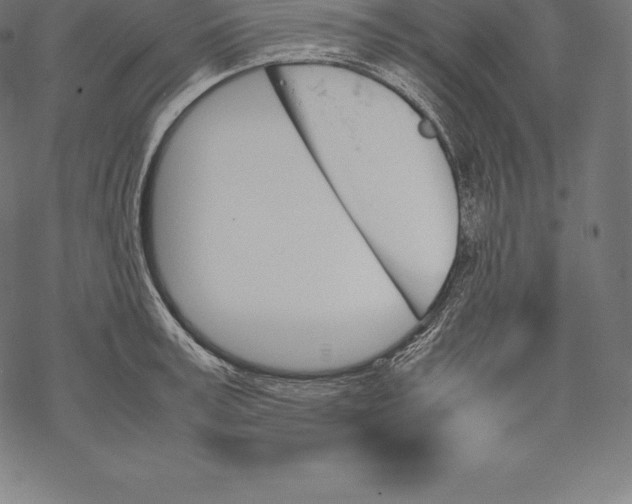 X0000067830995200605111612