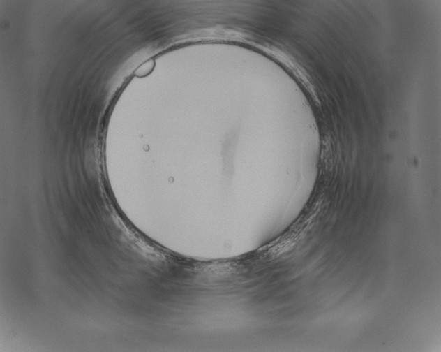 X0000067830998200605111612