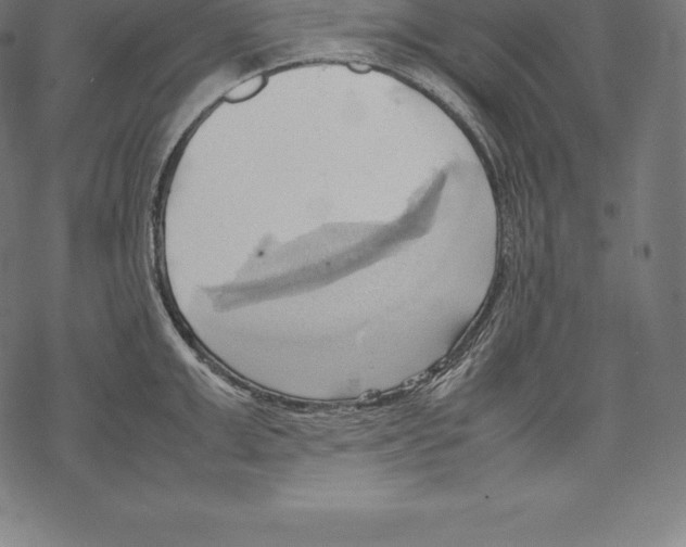 X0000067830999200605111612