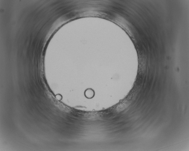 X0000067831000200605111612