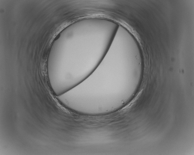 X0000067831001200605111612