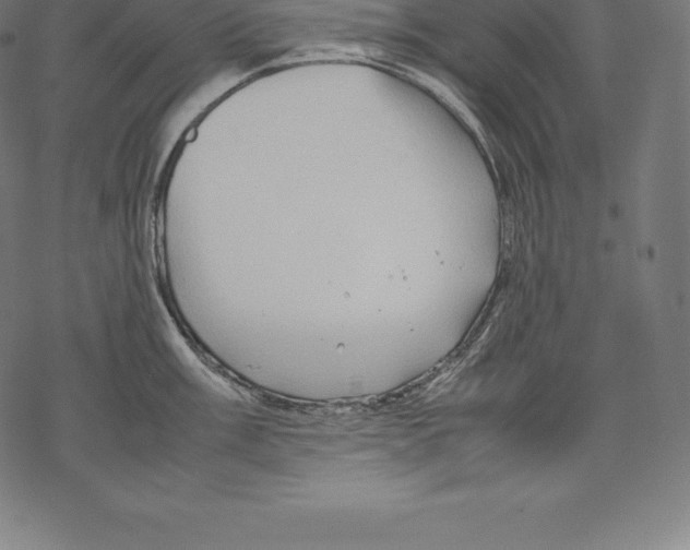 X0000067831003200605111612