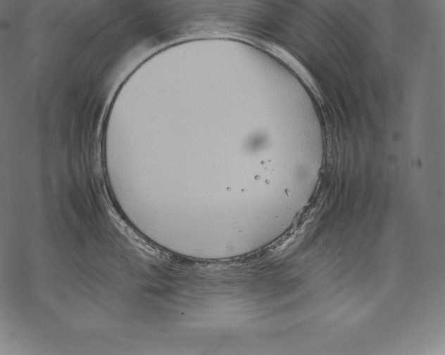 X0000067831004200605111612