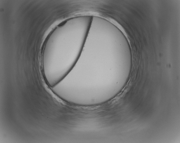 X0000067831005200605111612