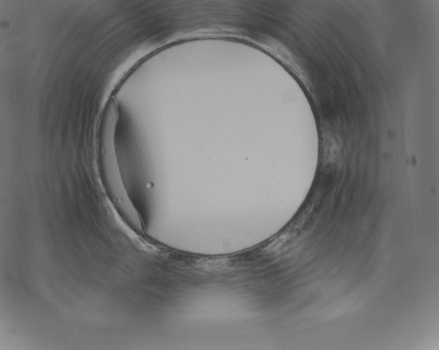 X0000067831006200605111612