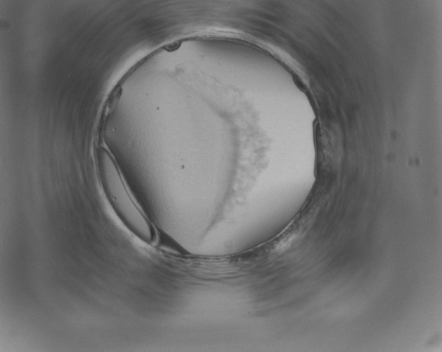 X0000067831007200605111612