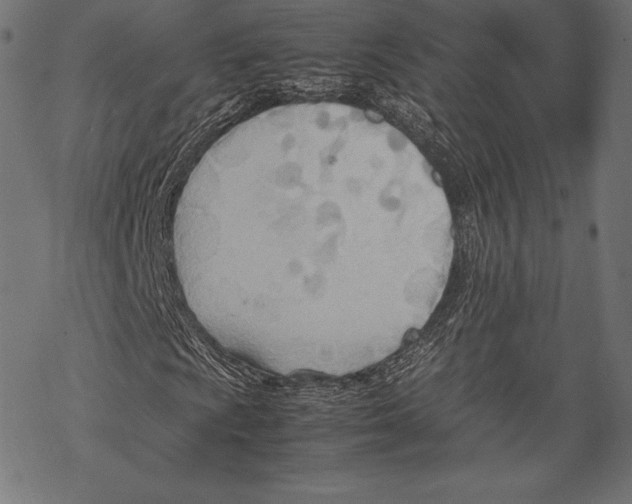 X0000067831009200605111611