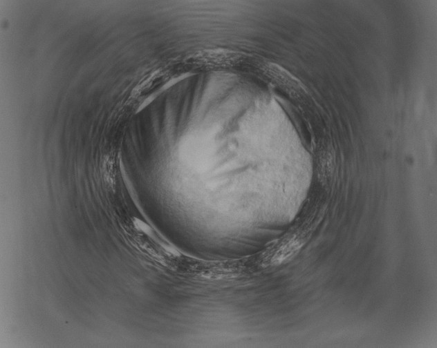 X0000067831010200605111611