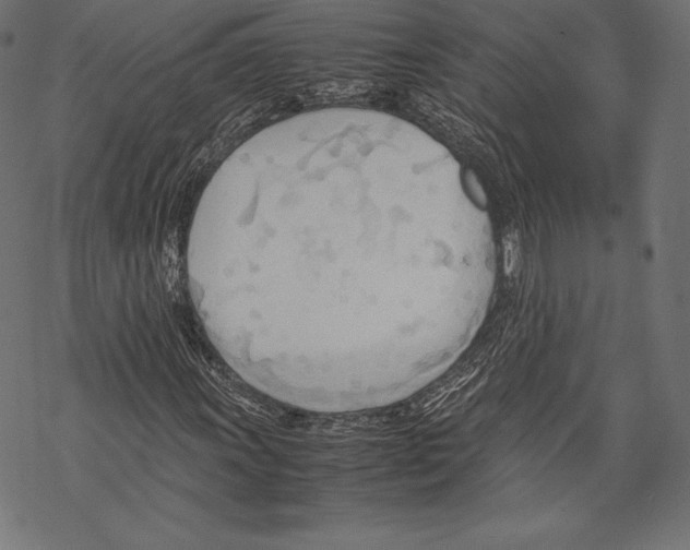 X0000067831011200605111611