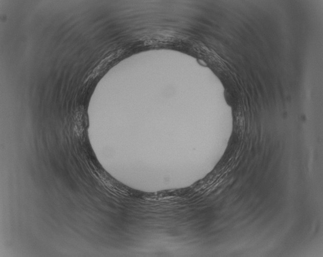 X0000067831012200605111611