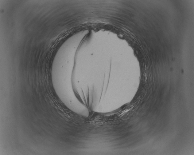 X0000067831014200605111611