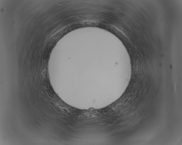 X0000067831015200605111611