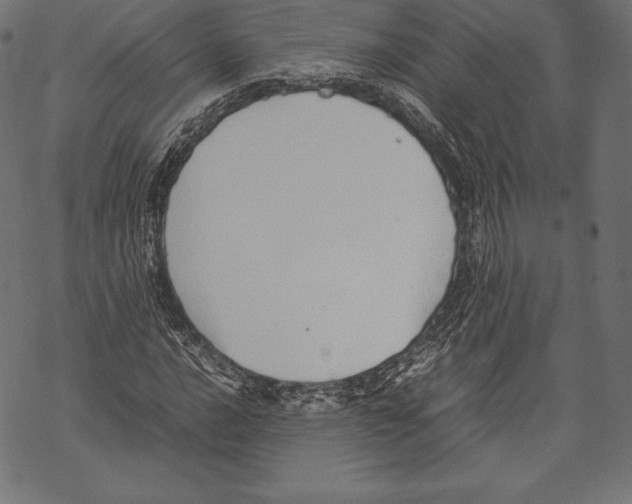 X0000067831016200605111611