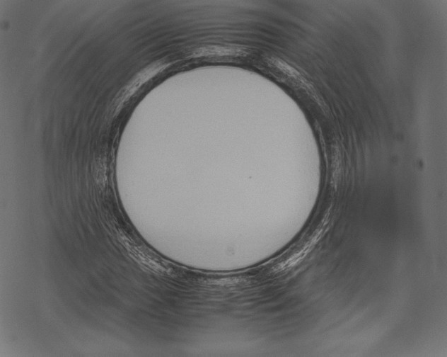 X0000067831017200605111611