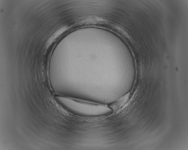 X0000067831018200605111611