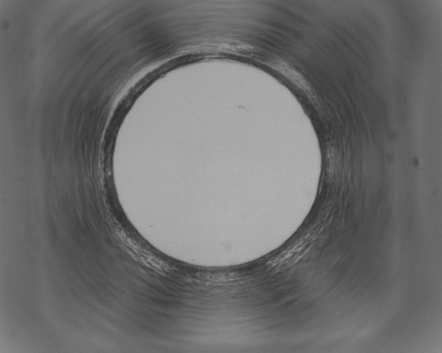 X0000067831020200605111611