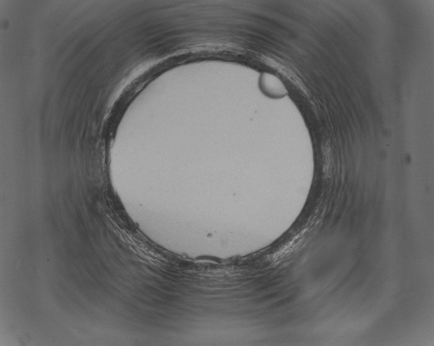 X0000067831021200605111611