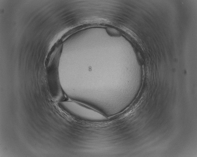 X0000067831022200605111611