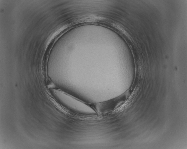 X0000067831026200605111612