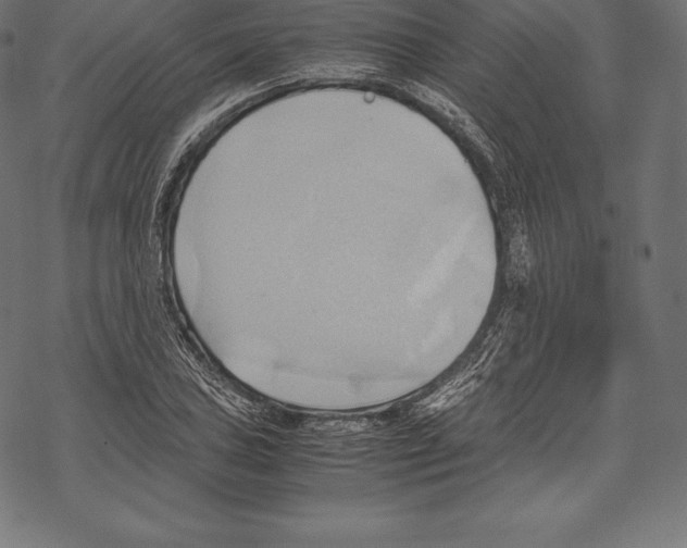 X0000067831027200605111612