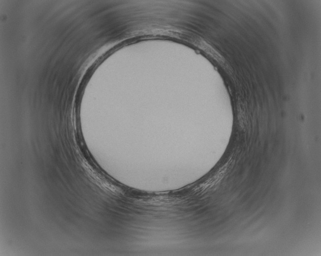 X0000067831028200605111612