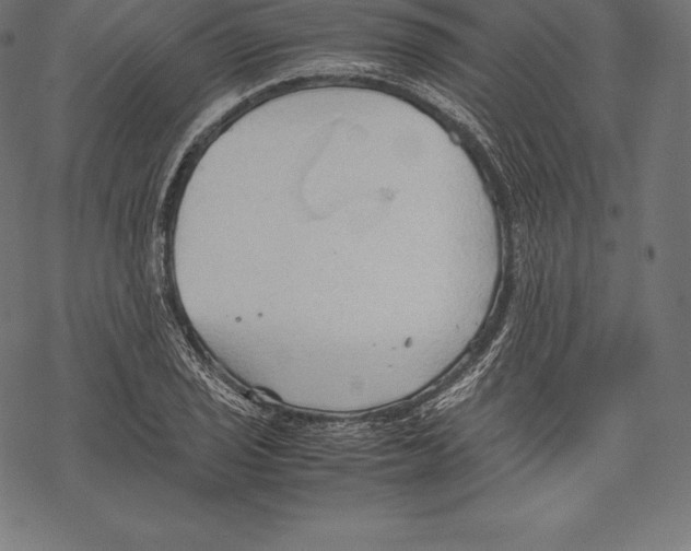 X0000067831029200605111612