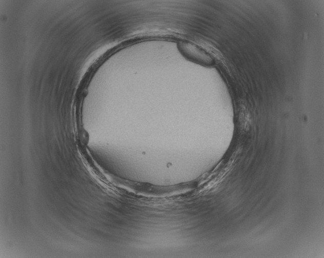 X0000067831030200605111612