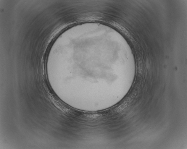 X0000067831031200605111612