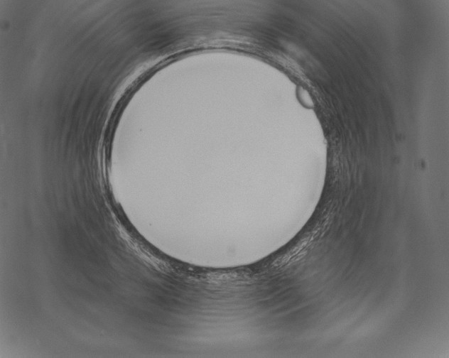 X0000067831032200605111612