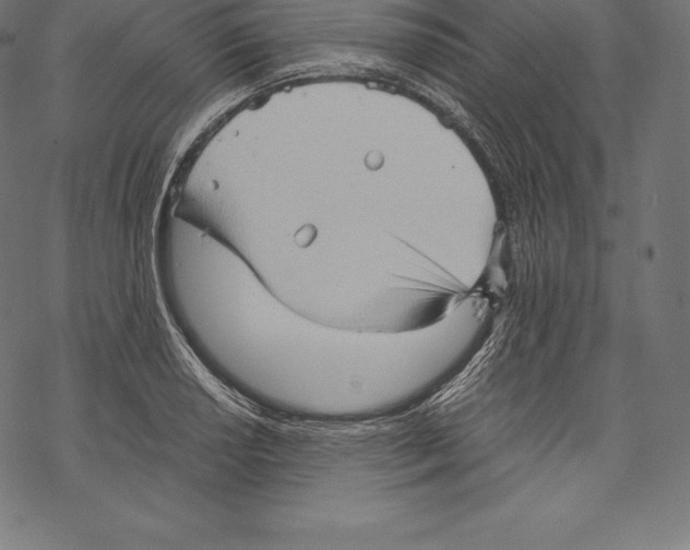 X0000067831034200605111612