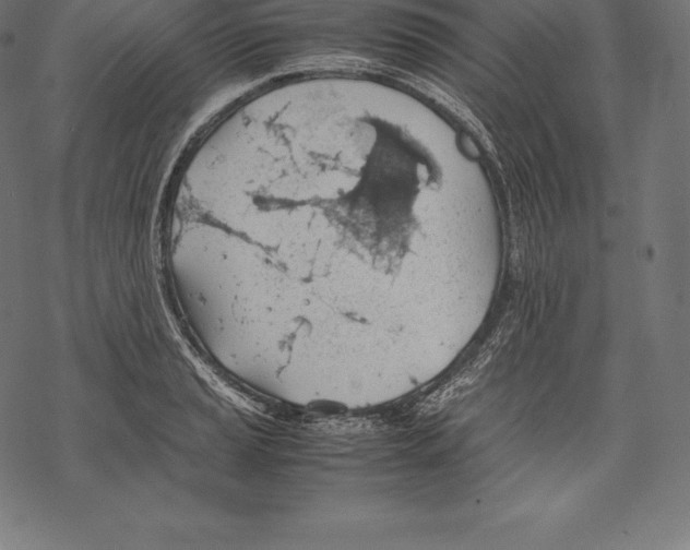 X0000067831037200605111612