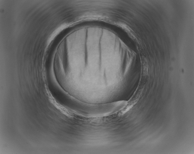 X0000067831038200605111612