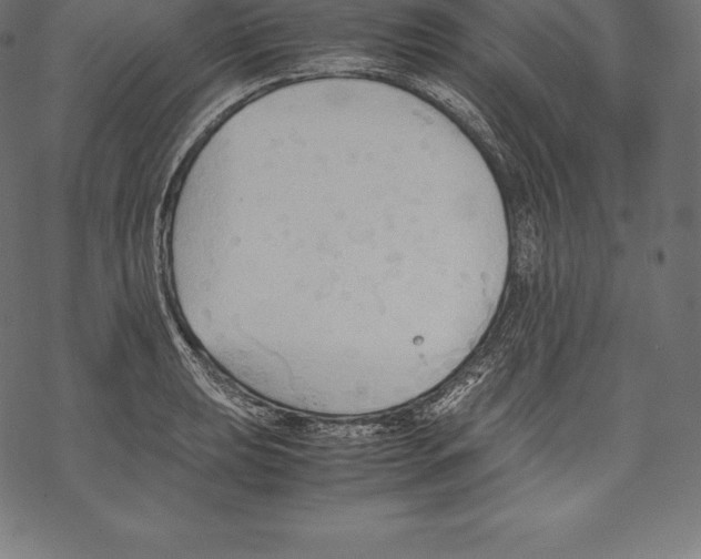 X0000067831039200605111612